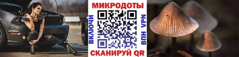 наркотики  Чегем  Галлюциногенные грибы ЛСД 