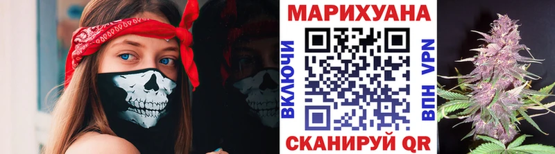 Марихуана семена  Чегем 